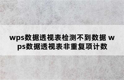 wps数据透视表检测不到数据 wps数据透视表非重复项计数